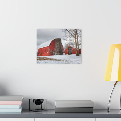 U R There Photography Catlin Reds in Winter I Rustic Farmhouse Acrylic Wall Print