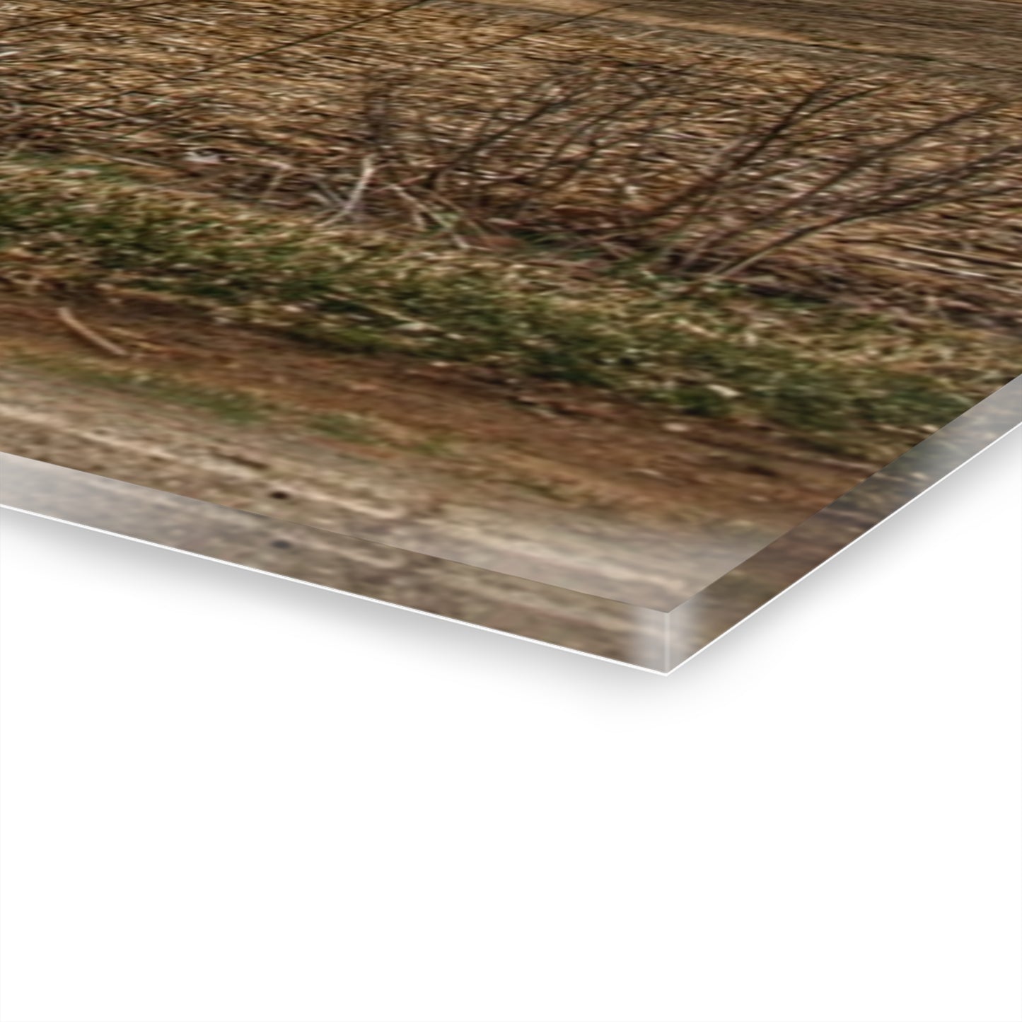 U R There Photography Barnes Road Little Red III Rustic Farmhouse Acrylic Wall Print