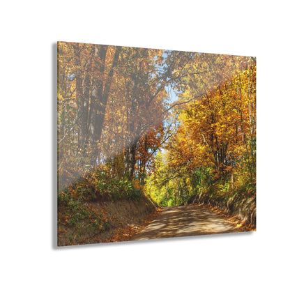 U R There Photography Harson Road in Fall I Rustic Farmhouse Acrylic Wall Print