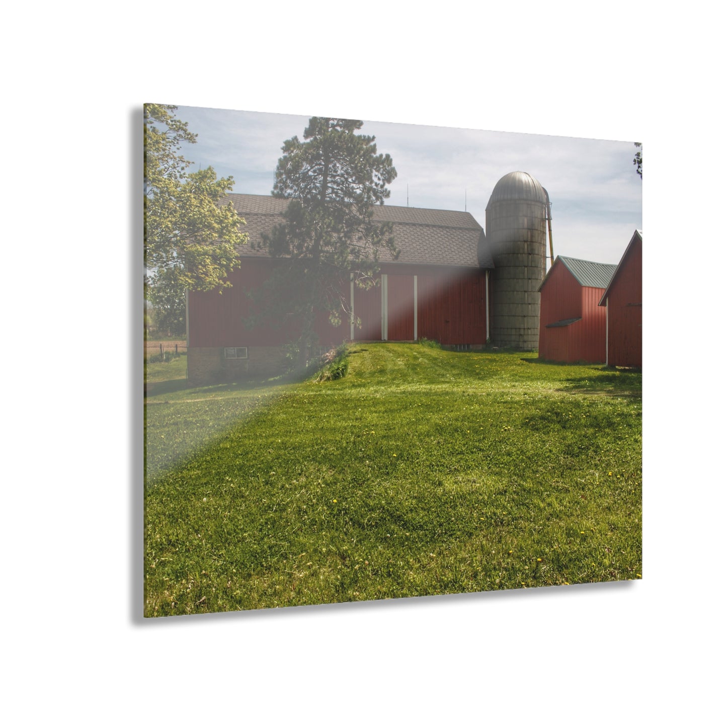 U R There Photography Maple Leaf Road Red Rustic Farmhouse Acrylic Wall Print