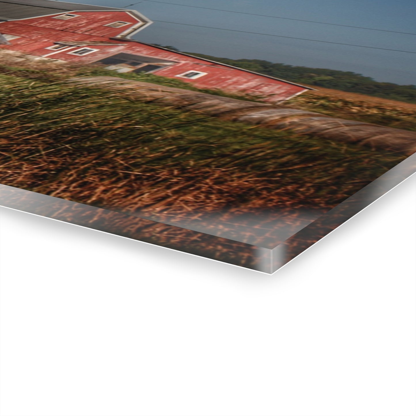 U R There Photography Rochester Road Red I Rustic Farmhouse Acrylic Wall Print