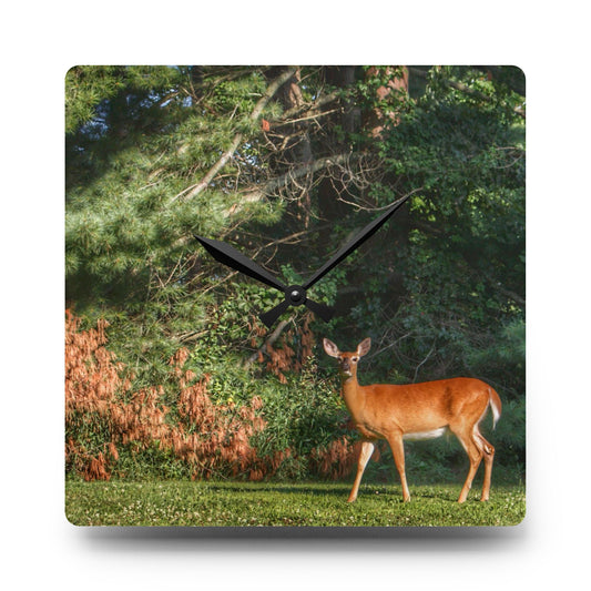 Mitchell Road Doe Rustic Farmhouse Acrylic Analog Wall Clock 10.75'' × 10.75'' (Square)
