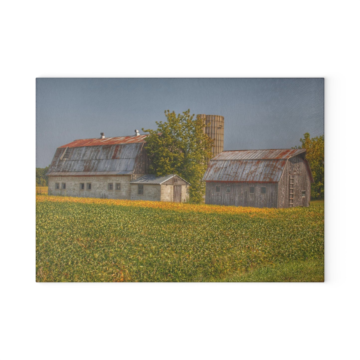 U R There Photography Swaffer Road Duo Rustic Farmhouse Tempered-Glass Cutting Board