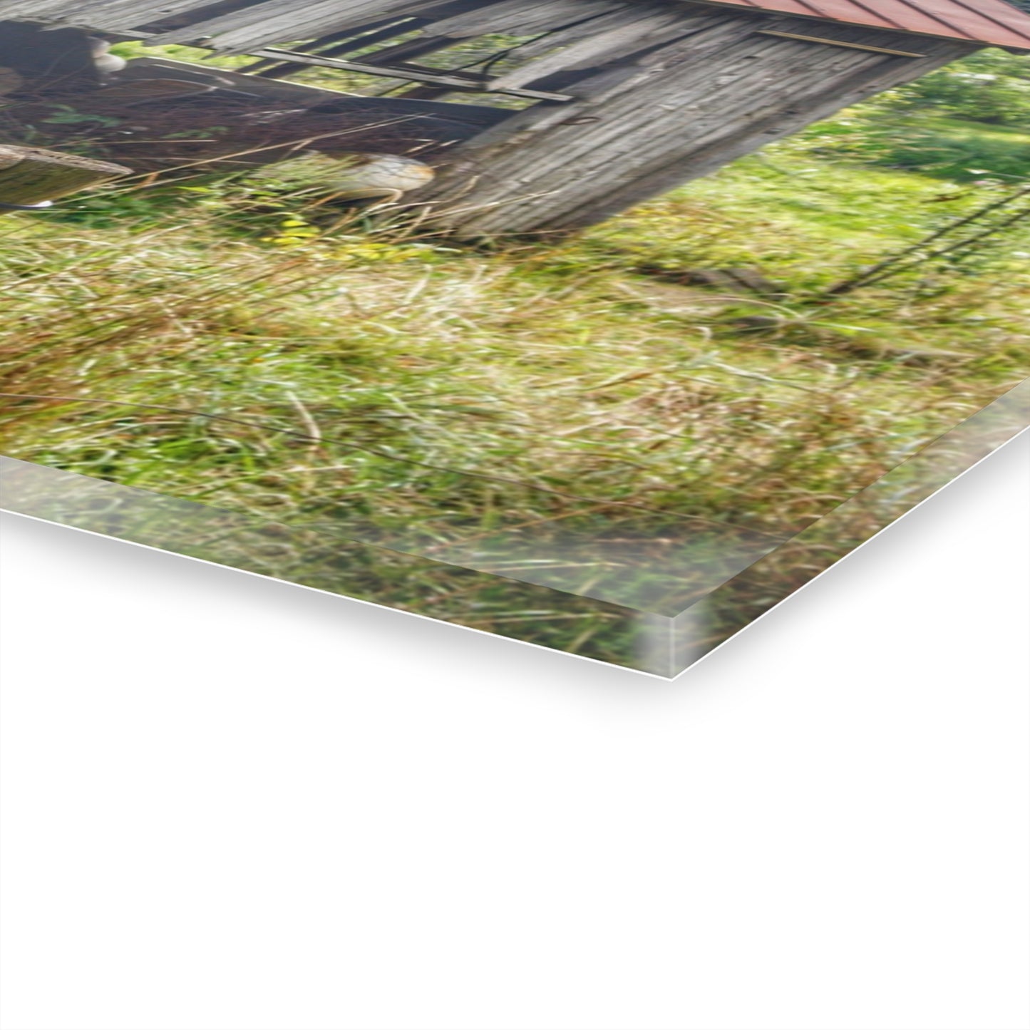 U R There Photography Silverwood Rusted Grey Shack Rustic Farmhouse Acrylic Wall Print