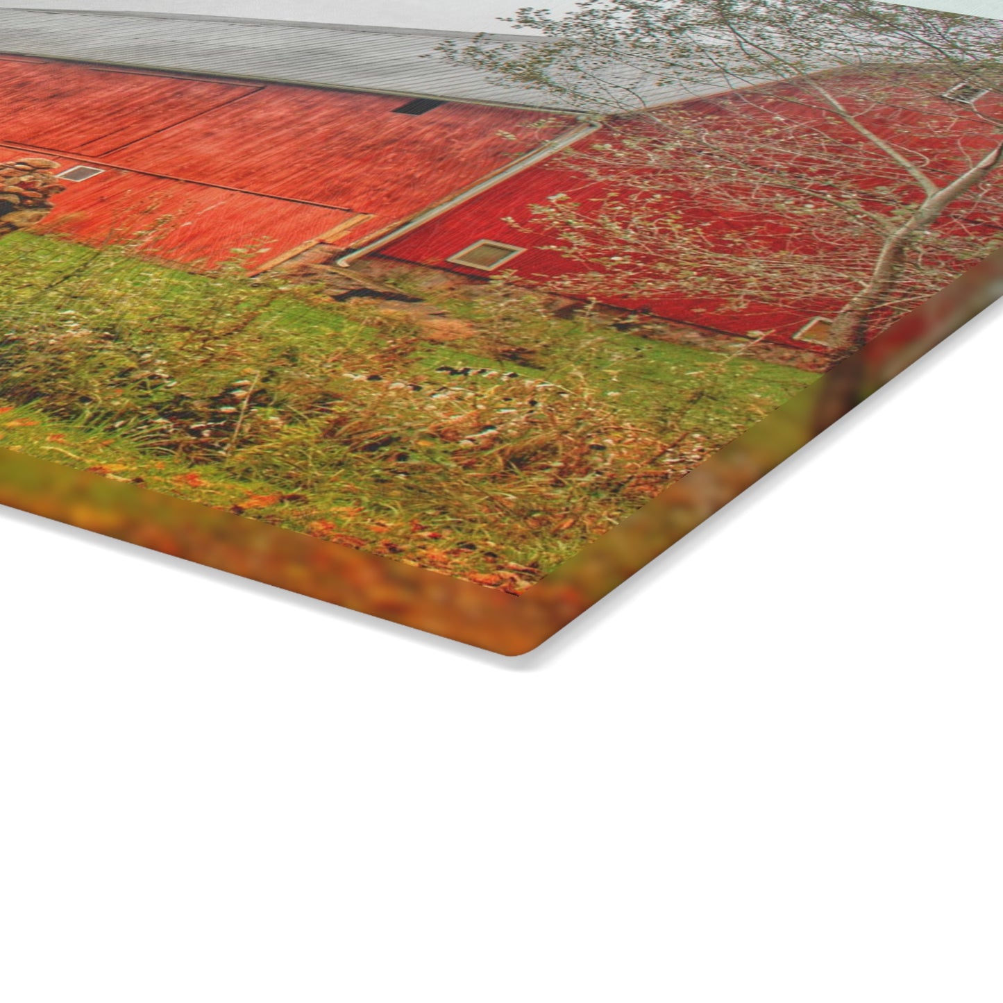 U R There Photography Cramton Road Reds I Rustic Farmhouse Tempered-Glass Cutting Board