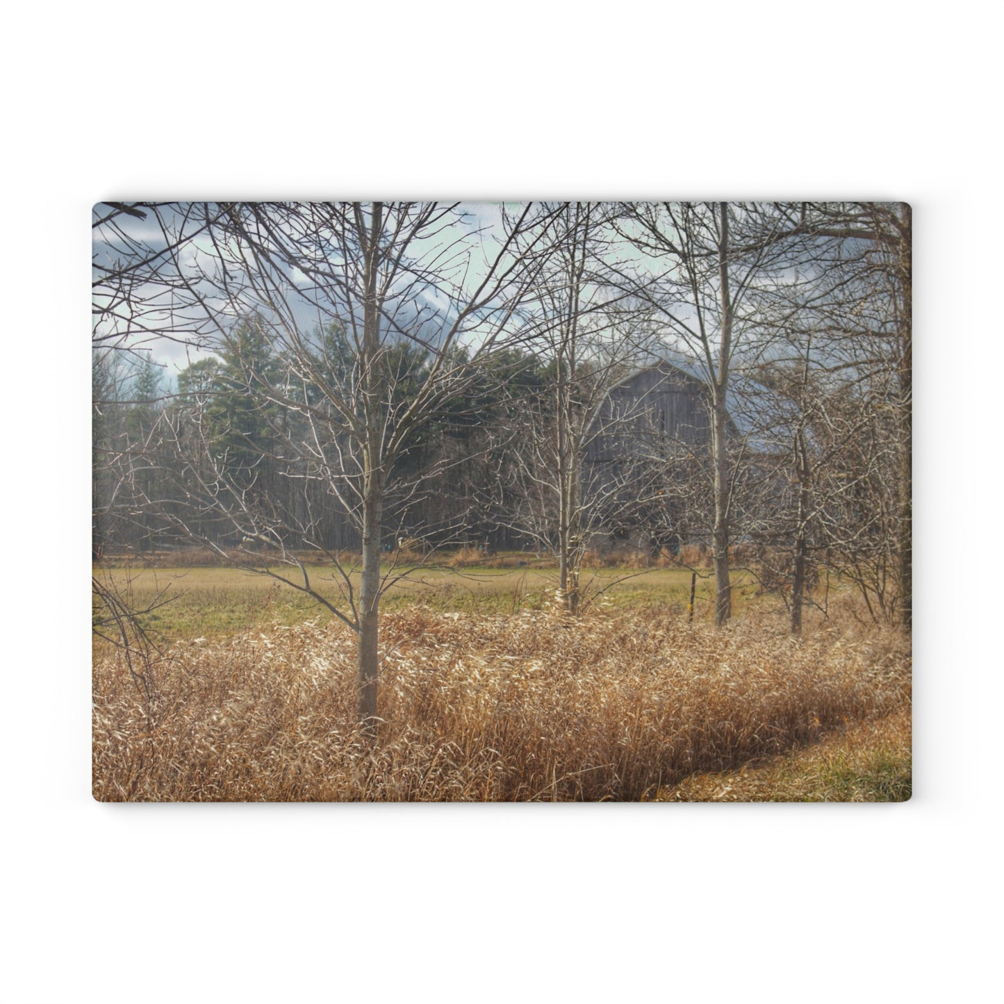 U R There Photography Speaker Road Hidden Grey Rustic Farmhouse Tempered-Glass Cutting Board