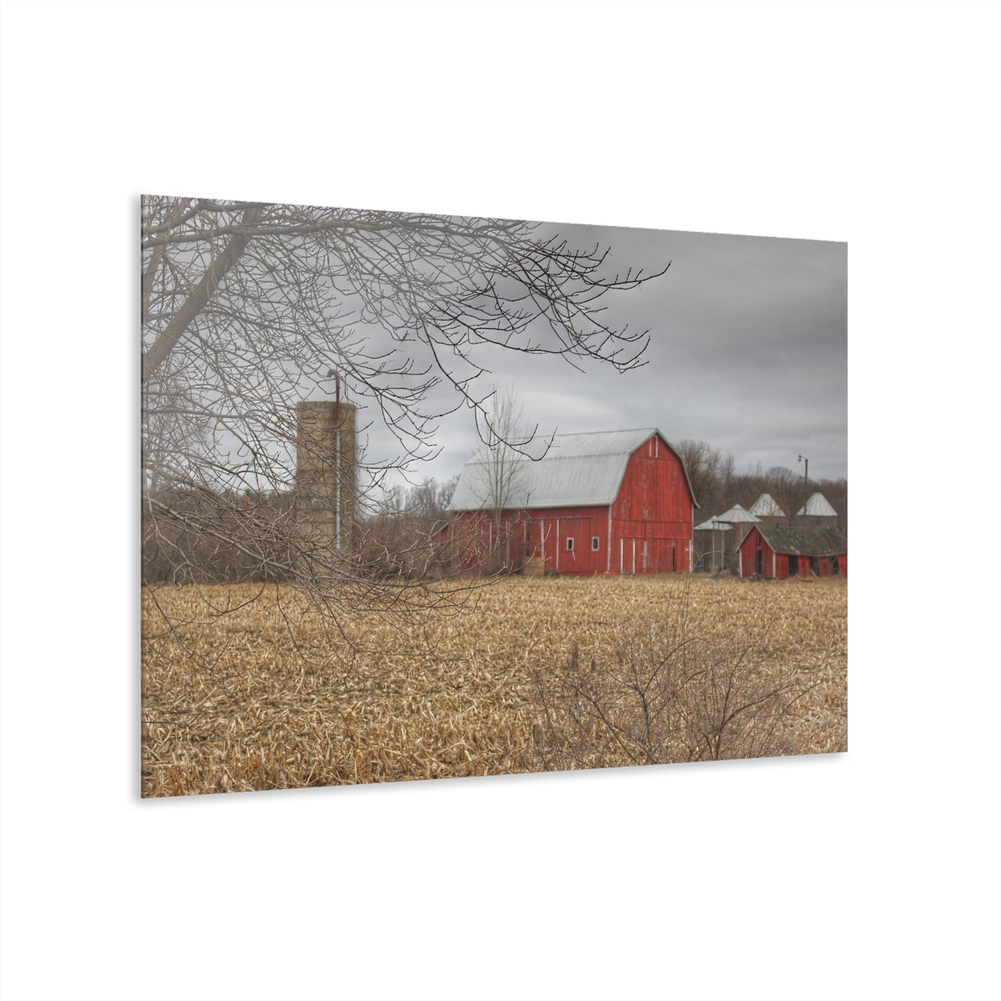 U R There Photography Barnes of Arbela I Rustic Farmhouse Acrylic Wall Print