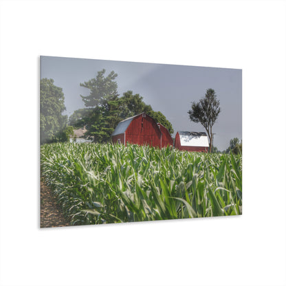 U R There Photography Shoemaker Reds Rustic Farmhouse Acrylic Wall Print