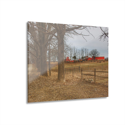U R There Photography Wilder Road Cow Farm Rustic Farmhouse Acrylic Wall Print