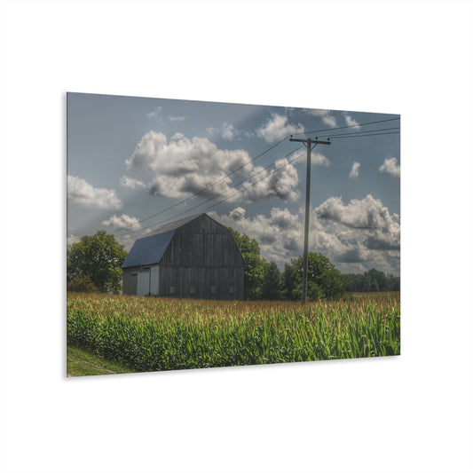 U R There Photography Grey Barn in a Cornfield Rustic Farmhouse Acrylic Wall Print