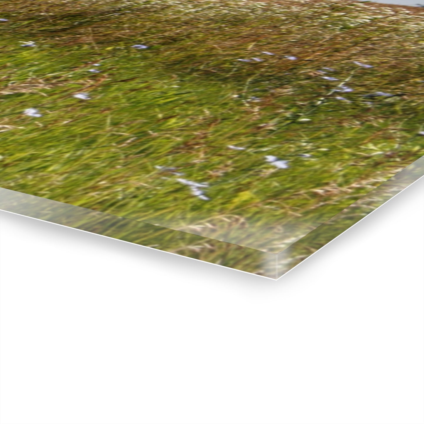 U R There Photography North Lake Pleasant Little Red I Rustic Farmhouse Acrylic Wall Print