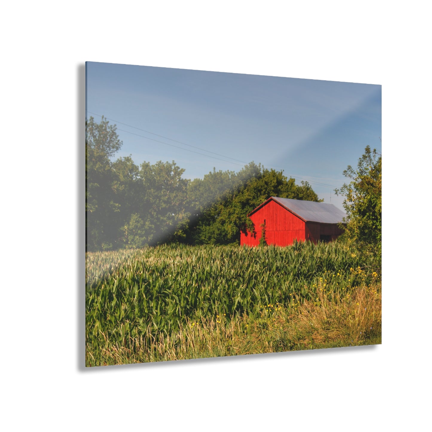U R There Photography Willard Road Red II Rustic Farmhouse Acrylic Wall Print
