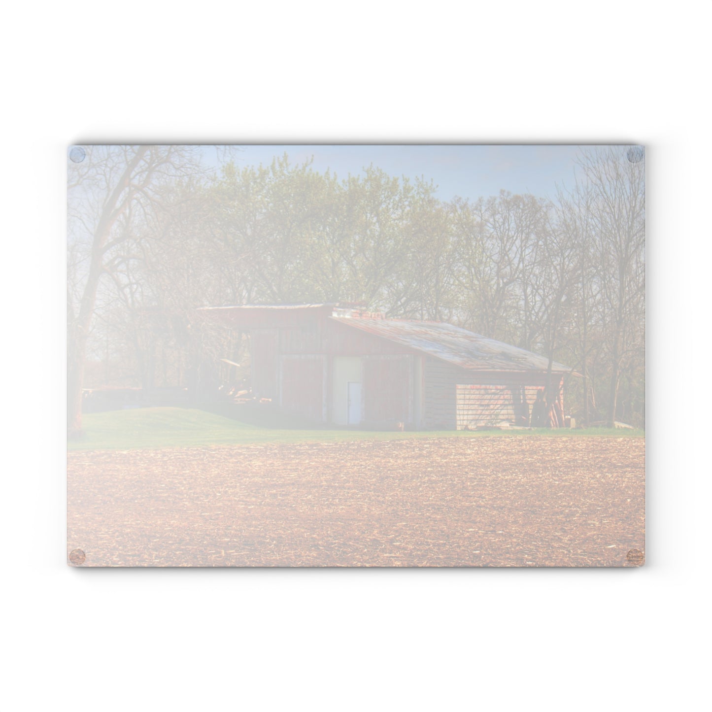 U R There Photography Sohn Roadside Relic Rustic Farmhouse Tempered-Glass Cutting Board