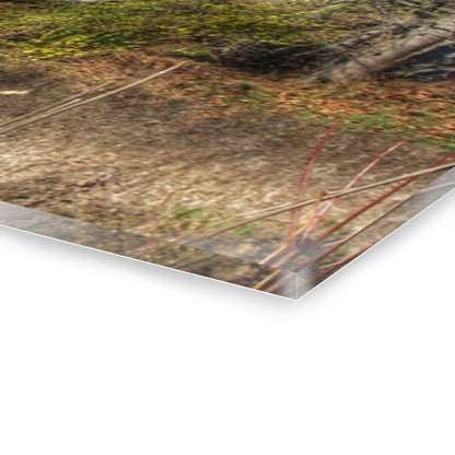 U R There Photography Hadley Red I Rustic Farmhouse Acrylic Wall Print