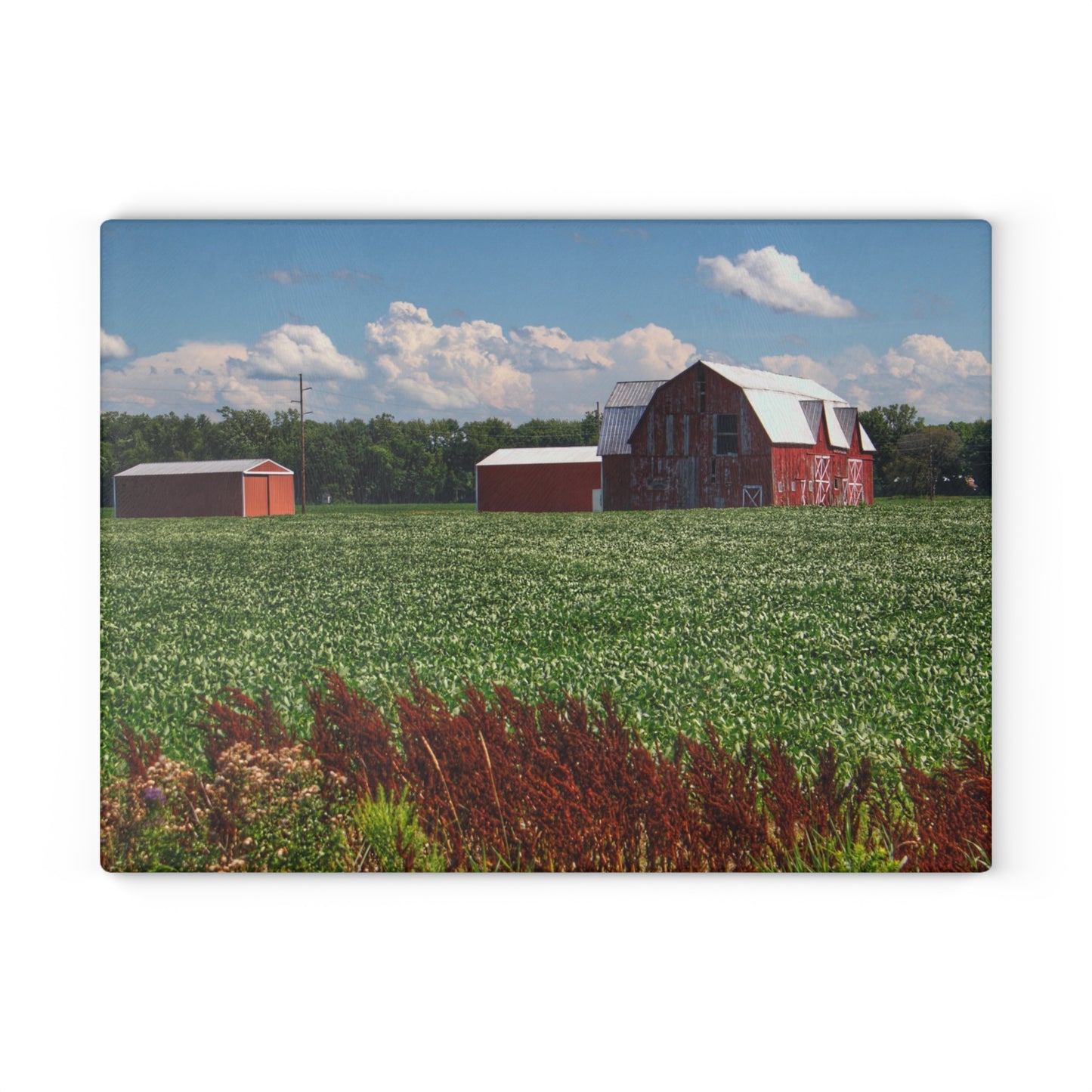 U R There Photography South Gera Road Red Rustic Farmhouse Tempered-Glass Cutting Board