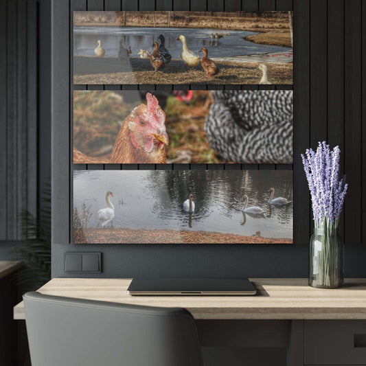 Barn Boutique Hanging Acrylic 3-Panel Print| Something A Fowl