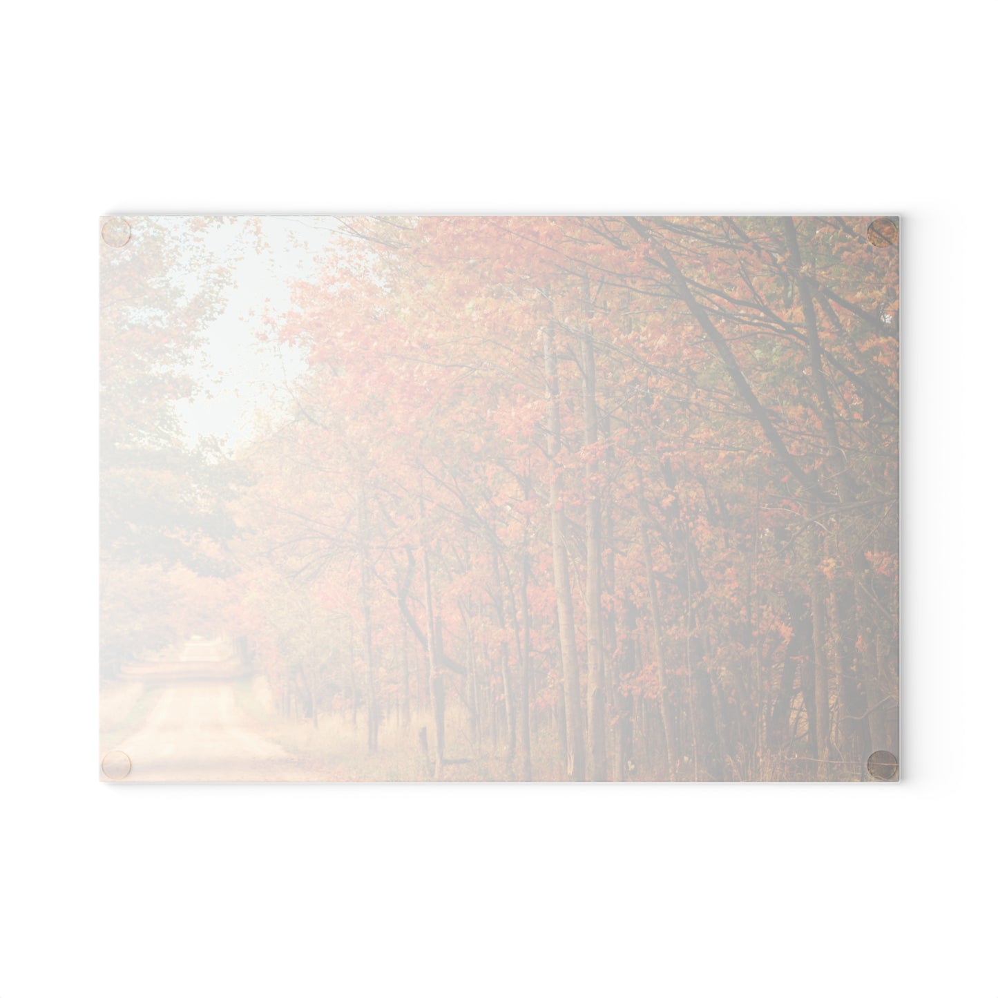 U R There Photography Fall on Murphy Lake II Rustic Farmhouse Tempered-Glass Cutting Board