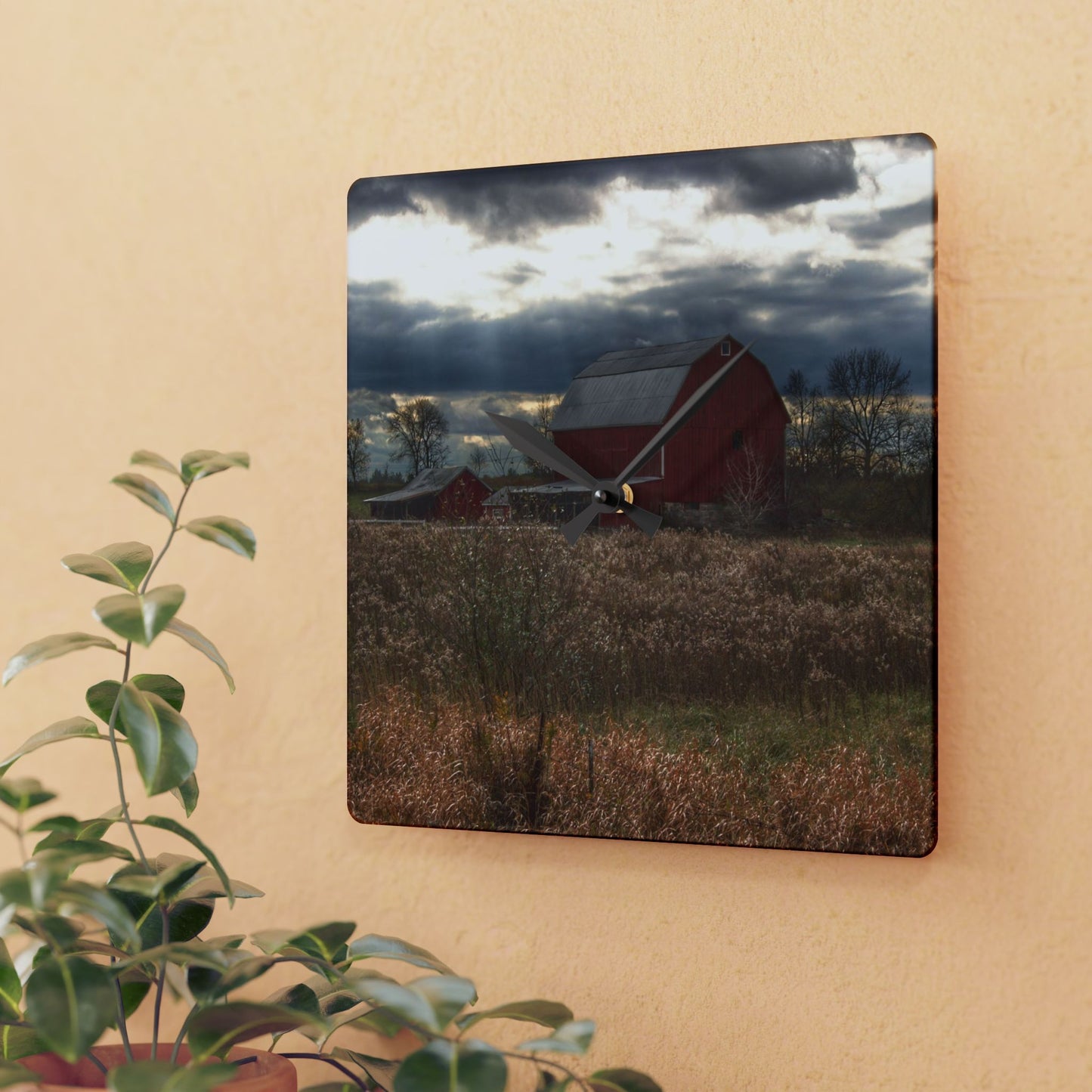 U R There Photography Booth Road Cow Barn II Rustic Farmhouse Acrylic Analog Wall Clock