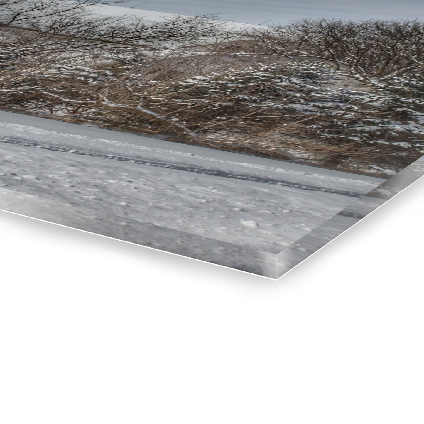 U R There Photography Hidden in Oxford II Rustic Farmhouse Acrylic Wall Print