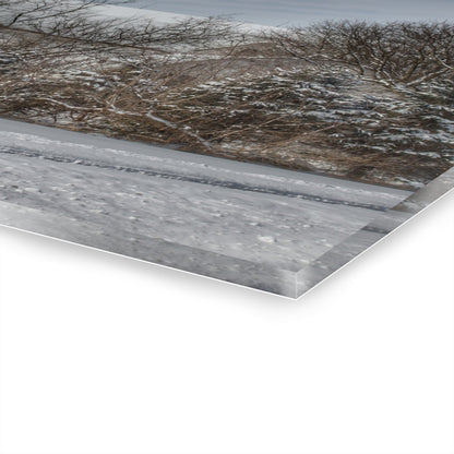 U R There Photography Hidden in Oxford II Rustic Farmhouse Acrylic Wall Print