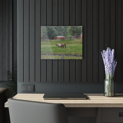 U R There Photography Painted Pony in Pasture Rustic Farmhouse Acrylic Wall Print
