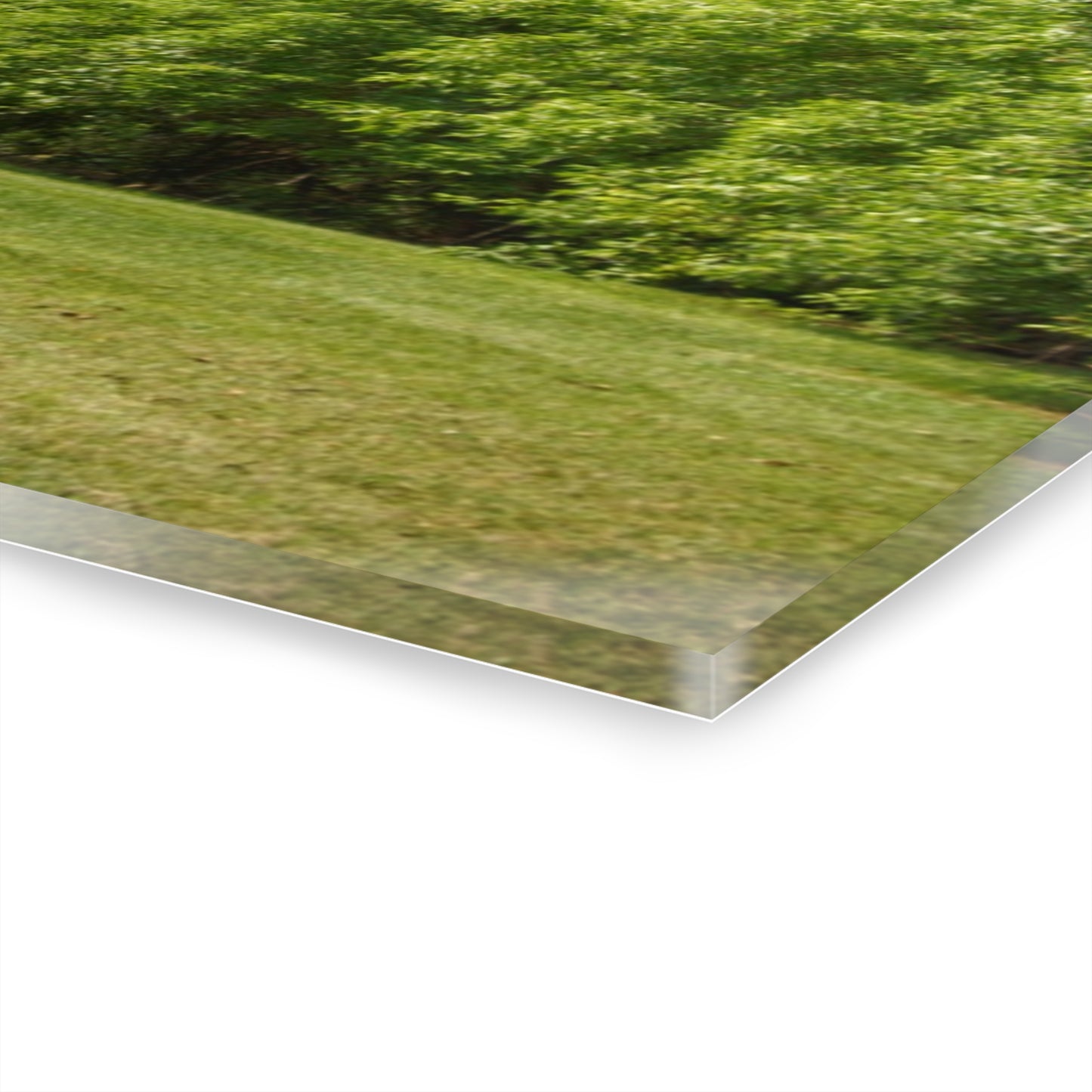 U R There Photography Hunters Creek White Rustic Farmhouse Acrylic Wall Print