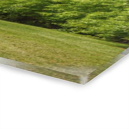 U R There Photography Hunters Creek White Rustic Farmhouse Acrylic Wall Print