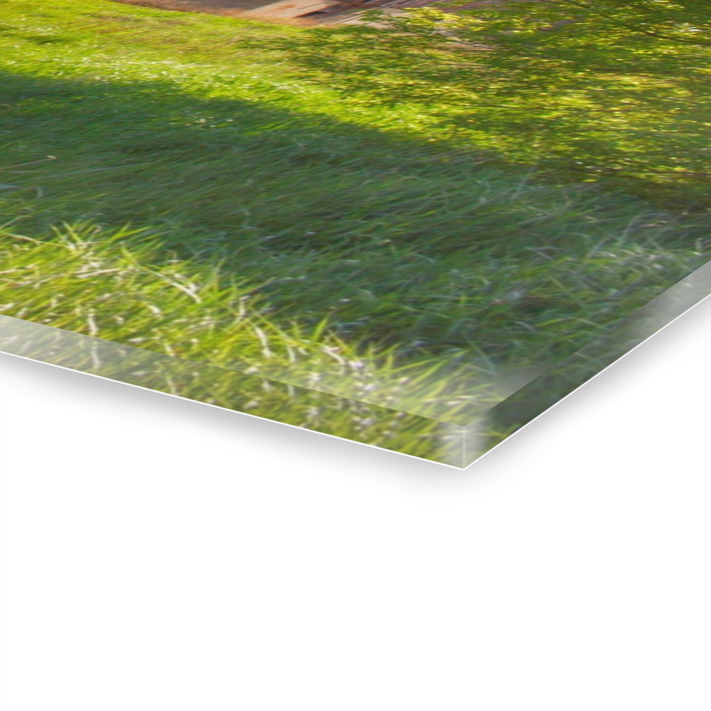 U R There Photography Leslie Road Red I Rustic Farmhouse Acrylic Wall Print