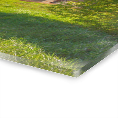 U R There Photography Leslie Road Red I Rustic Farmhouse Acrylic Wall Print