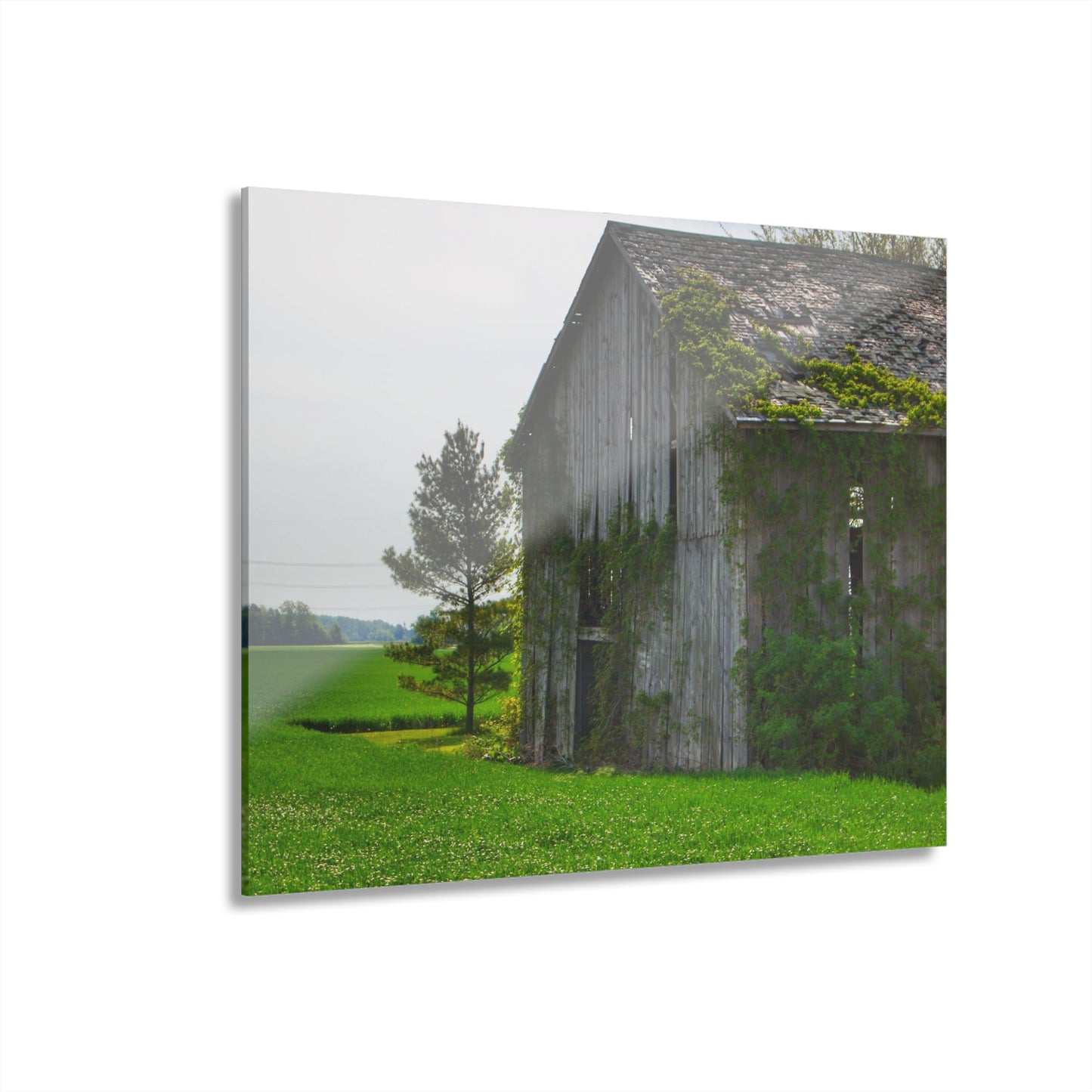 U R There Photography Caro Road Twin Grey I Rustic Farmhouse Acrylic Wall Print