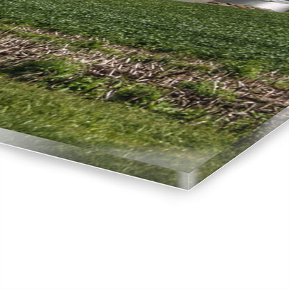 U R There Photography Haines Road Cornfield Reds Rustic Farmhouse Acrylic Wall Print