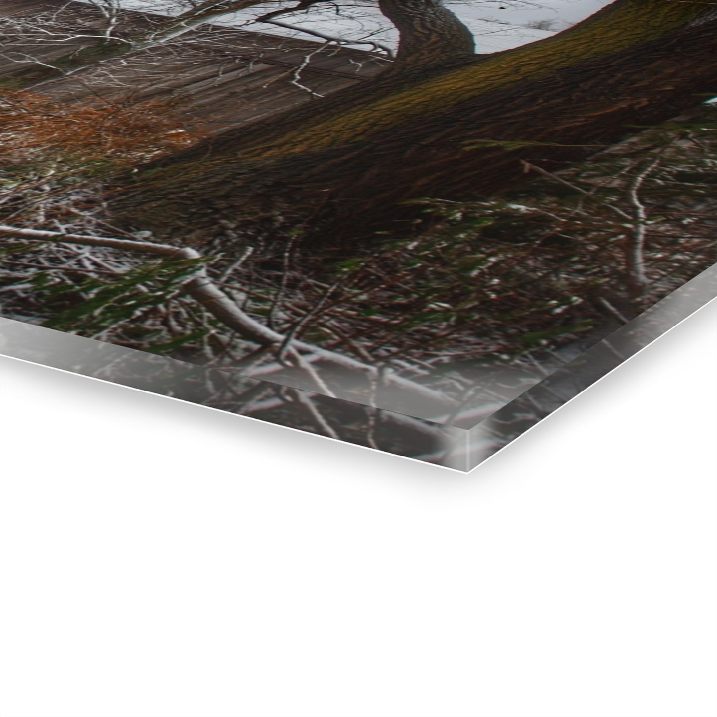 U R There Photography Willard Road Hidden Grey Rustic Farmhouse Acrylic Wall Print