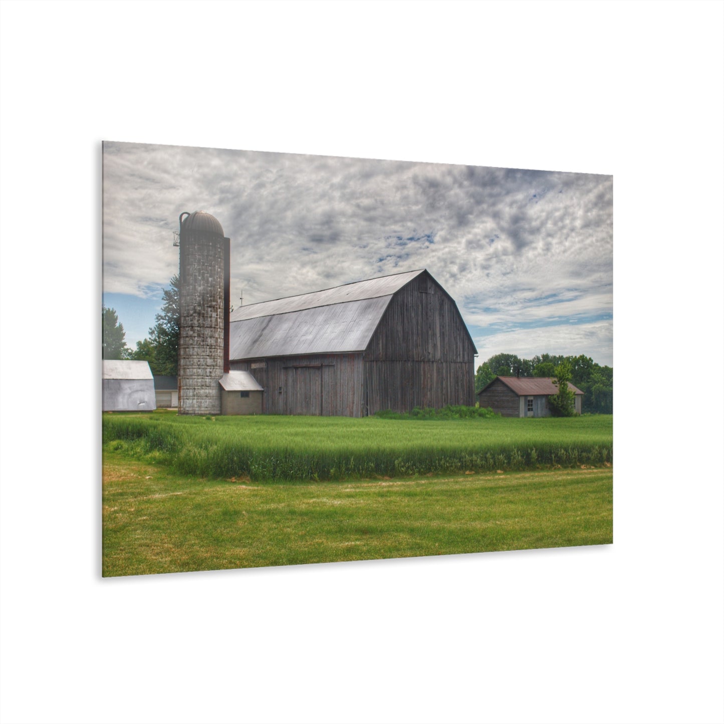 U R There Photography West Tuscola Road Grey Rustic Farmhouse Acrylic Wall Print