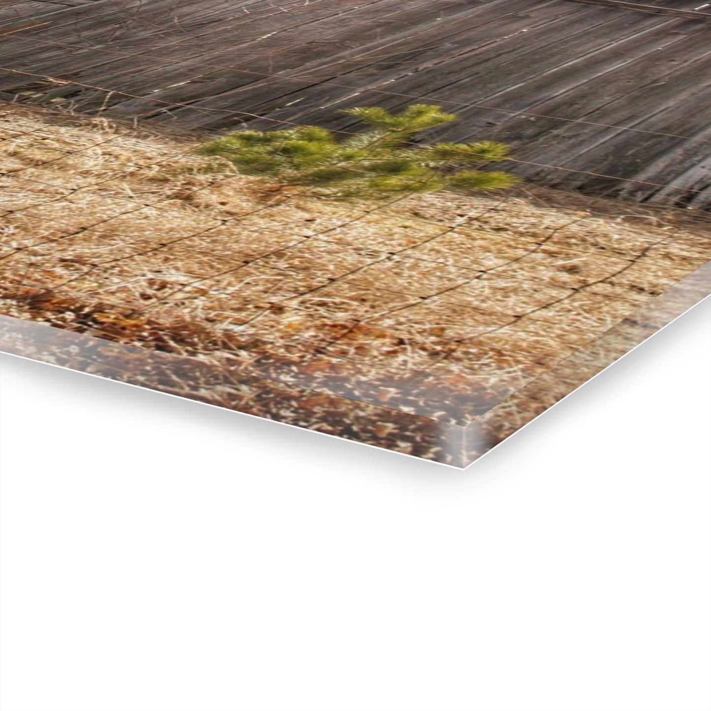 U R There Photography Leix Road Forgotten Grey II Rustic Farmhouse Acrylic Wall Print