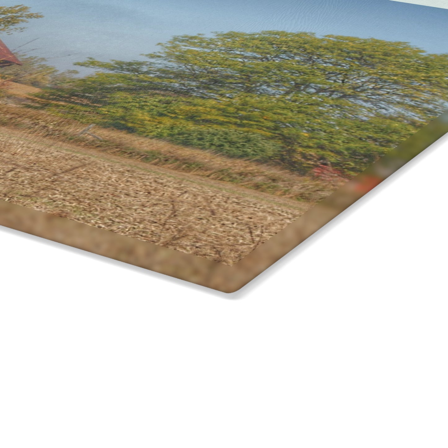 U R There Photography Brown City Wellman Line Road Little Red Rustic Farmhouse Tempered-Glass Cutting Board