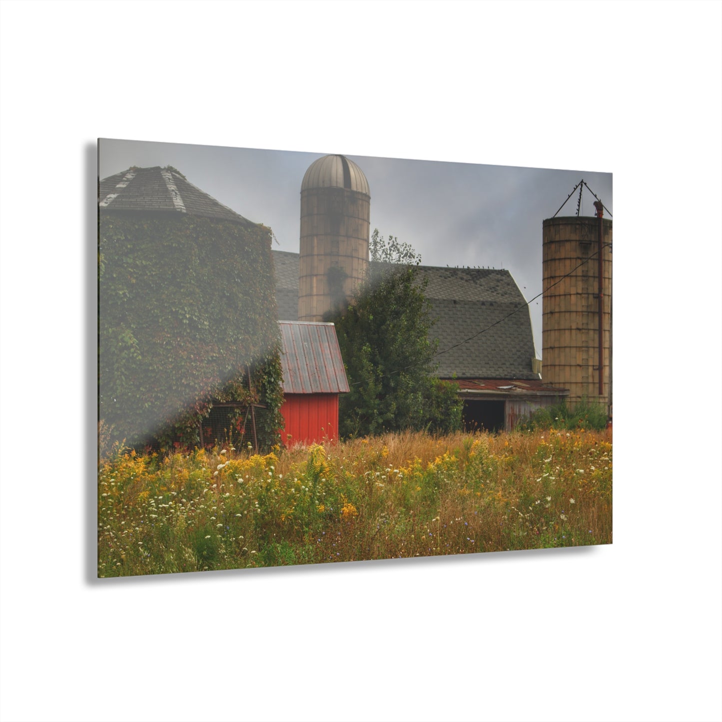 U R There Photography Silos of Otisville Rustic Farmhouse Acrylic Wall Print