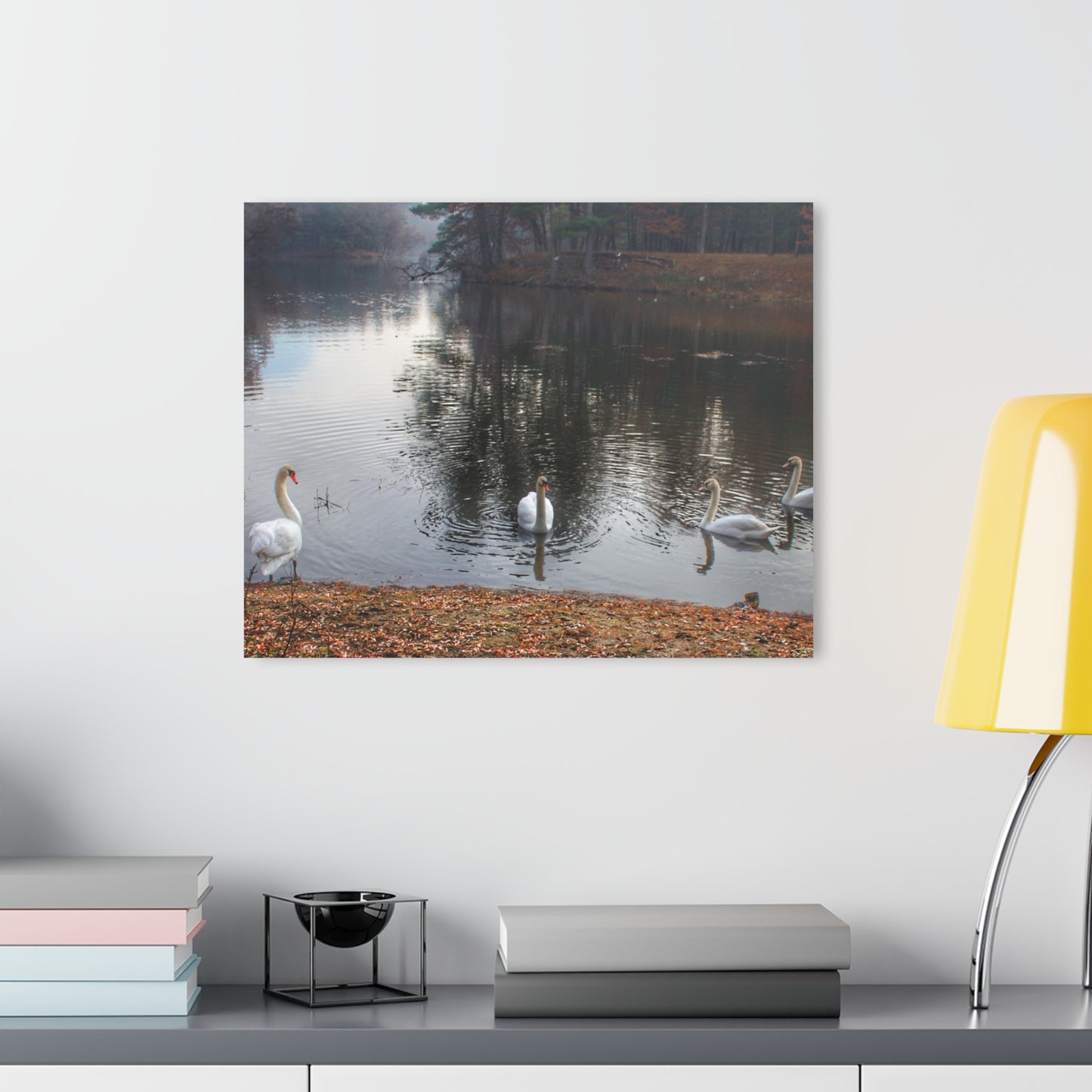 U R There Photography Swans of Duck Lake I Rustic Farmhouse Acrylic Wall Print