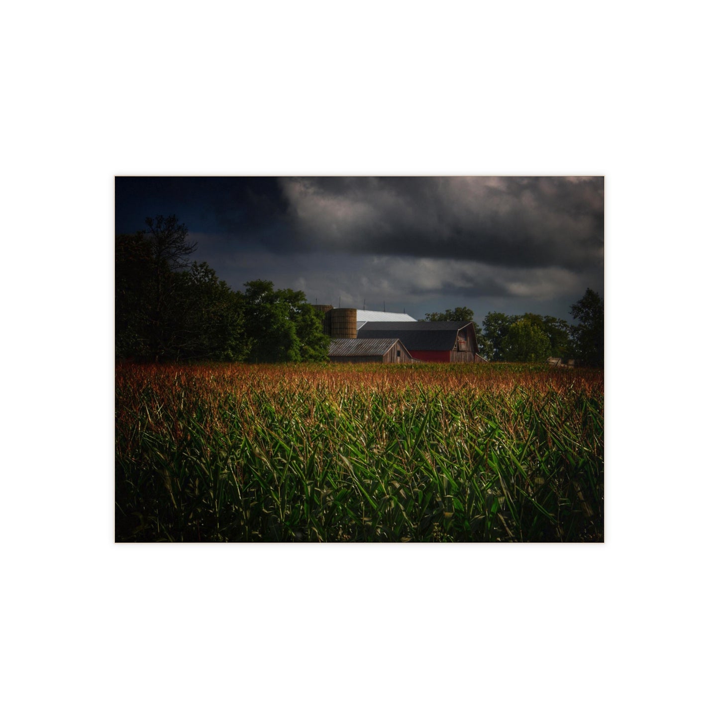 U R There Photography Bishop Road Beyond the Corn Rustic Farmhouse Decorative Ceramic Tile
