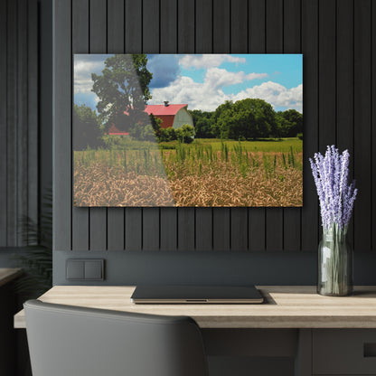 U R There Photography Northern White Rustic Farmhouse Acrylic Wall Print