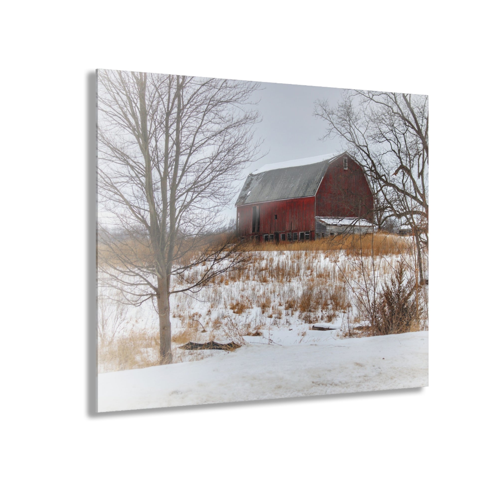 Hadley Red II Rustic Farmhouse Acrylic Wall Print 20″ x 16″ (Horizontal) 0.25''
