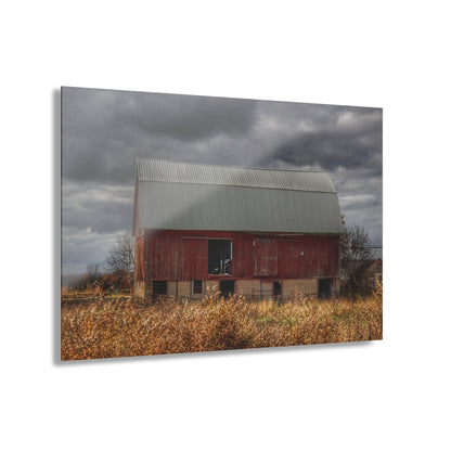 U R There Photography Booth Road Cow Barn I Rustic Farmhouse Acrylic Wall Print
