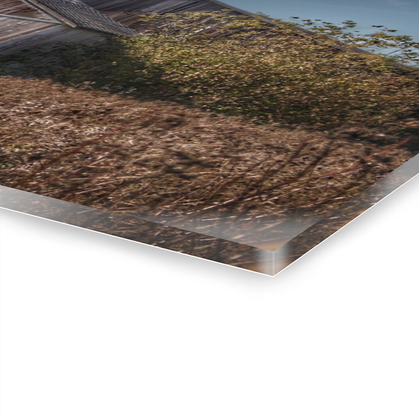 U R There Photography Fulmer Road Greys Rustic Farmhouse Acrylic Wall Print