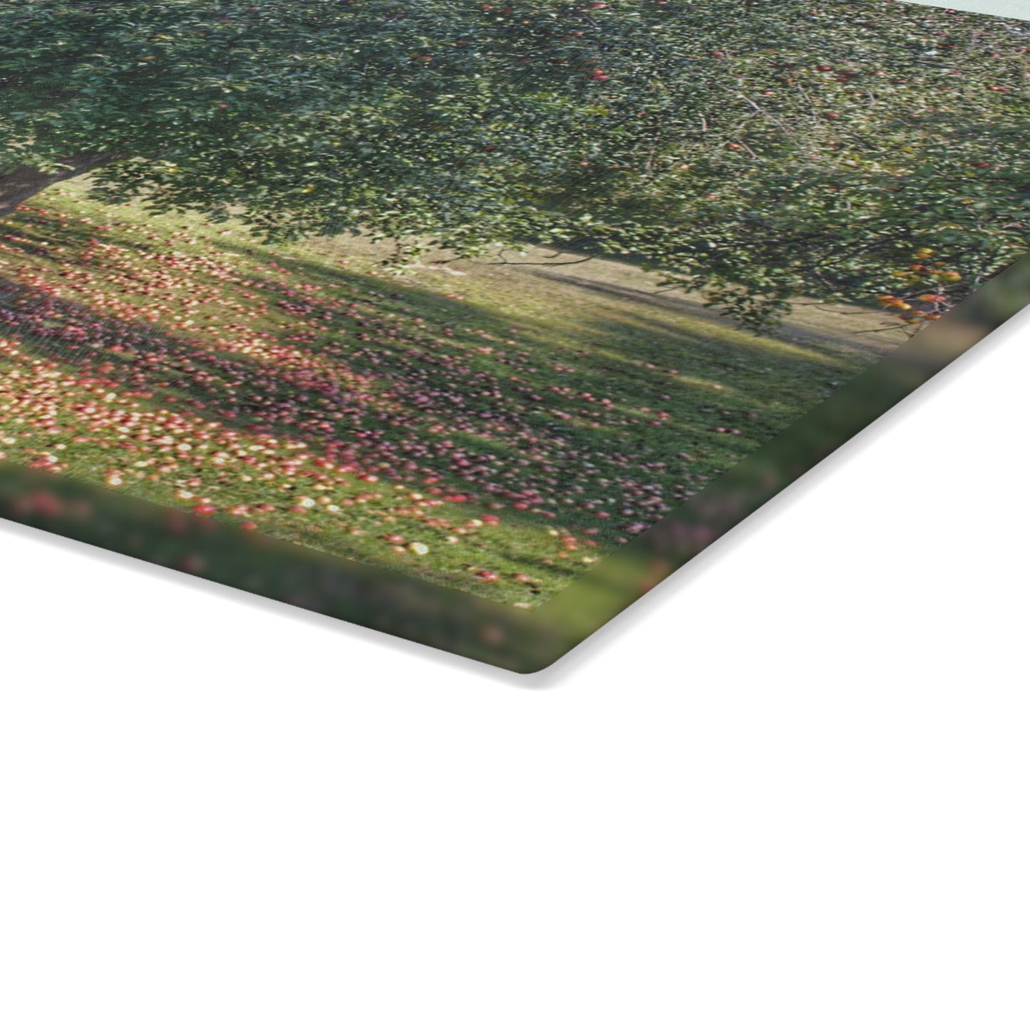 U R There Photography Apple Tree and Apples Rustic Farmhouse Tempered-Glass Cutting Board