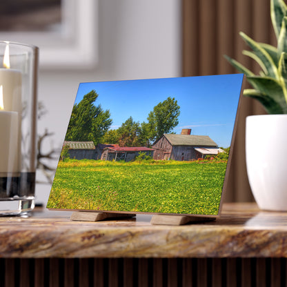 U R There Photography Birch Run Road Greys I Rustic Farmhouse Decorative Ceramic Tile