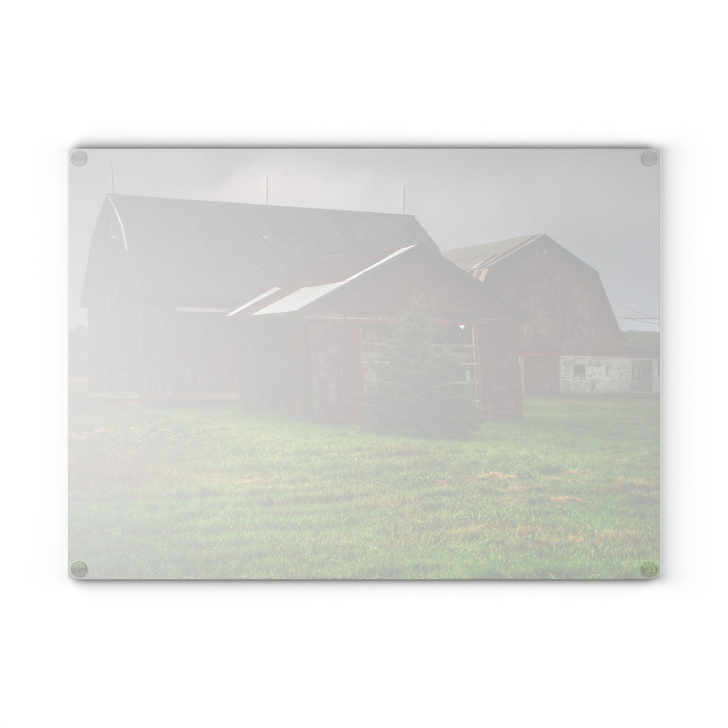 U R There Photography Winslow Road Reds Rustic Farmhouse Tempered-Glass Cutting Board