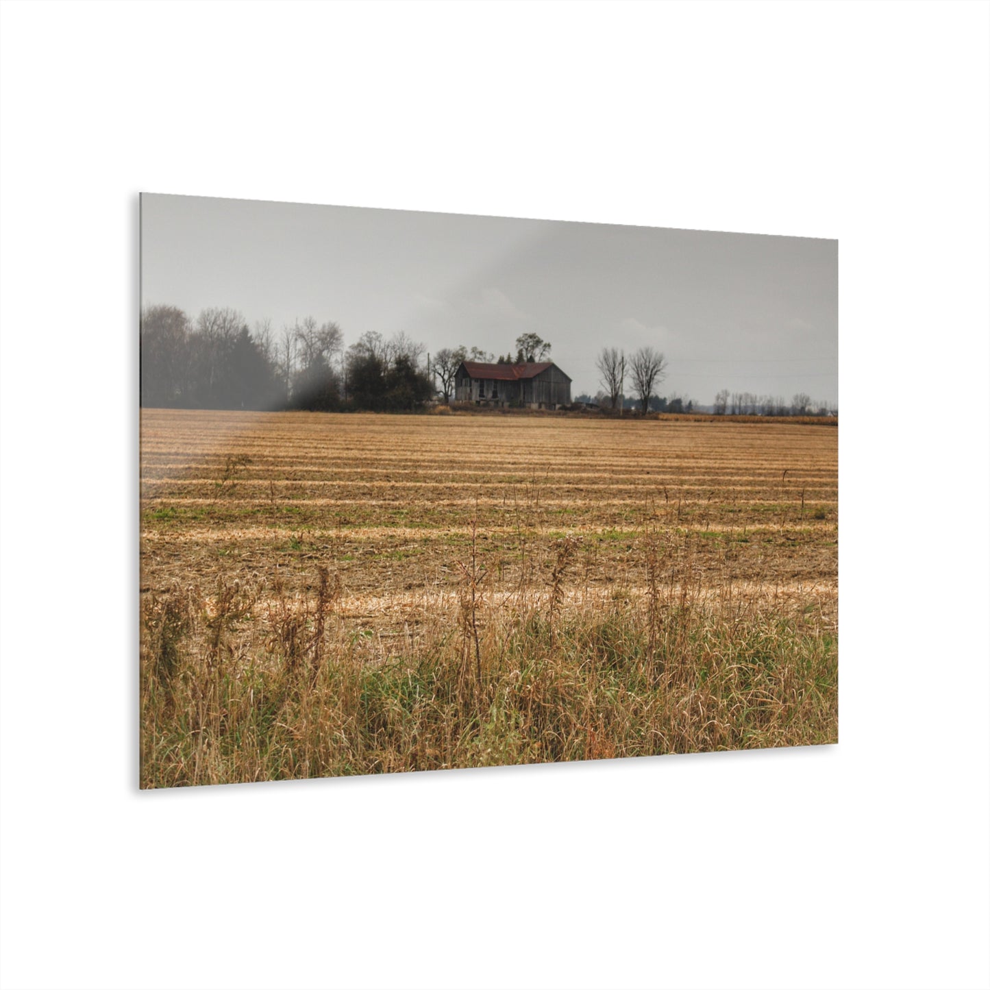 U R There Photography Freiberger Road Grey Across the Field Rustic Farmhouse Acrylic Wall Print