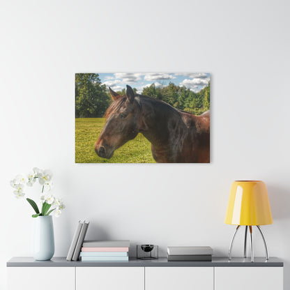 U R There Photography Brown Beauty I Rustic Farmhouse Acrylic Wall Print