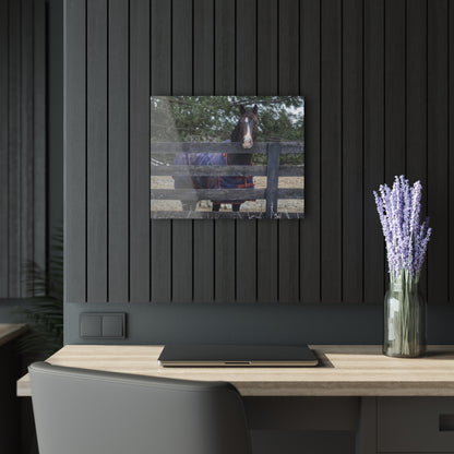 U R There Photography Hosner Road Chestnut Rustic Farmhouse Acrylic Wall Print