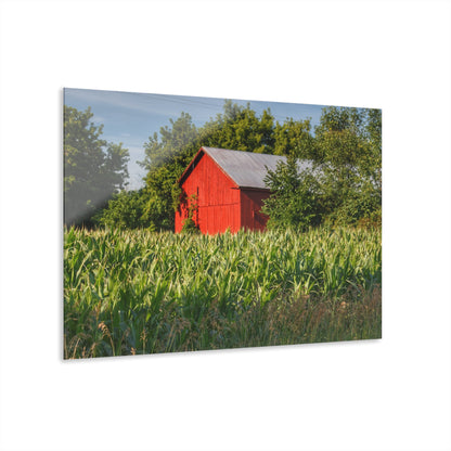 U R There Photography Willard Road Red III Rustic Farmhouse Acrylic Wall Print