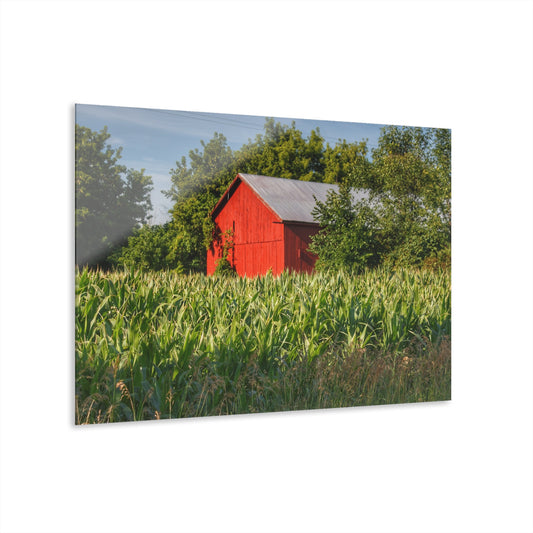 U R There Photography Willard Road Red III Rustic Farmhouse Acrylic Wall Print